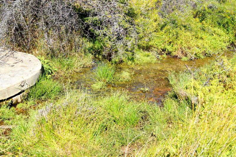 0 Bedroom Property for Sale in Calitzdorp Western Cape